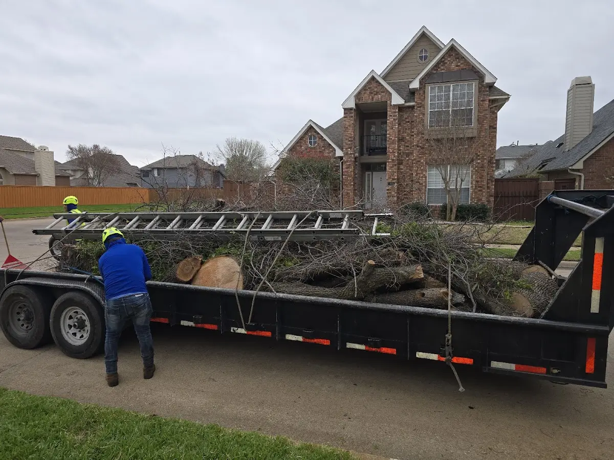 Expert Tree Removal with proper safety equipment in Osterburg